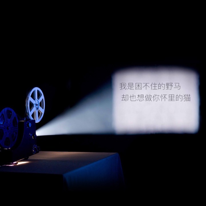 我想大声告诉你